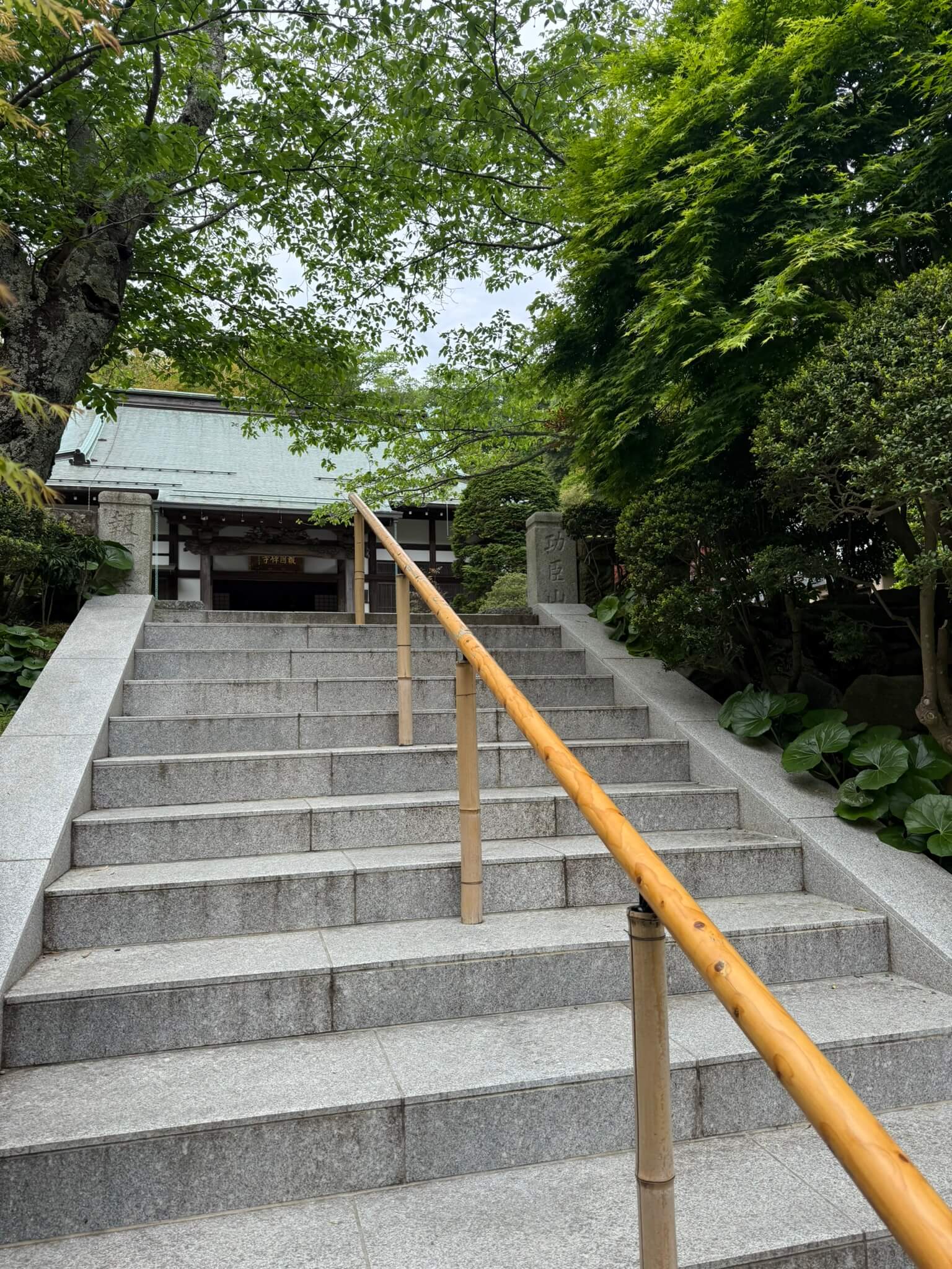 IMG_5023