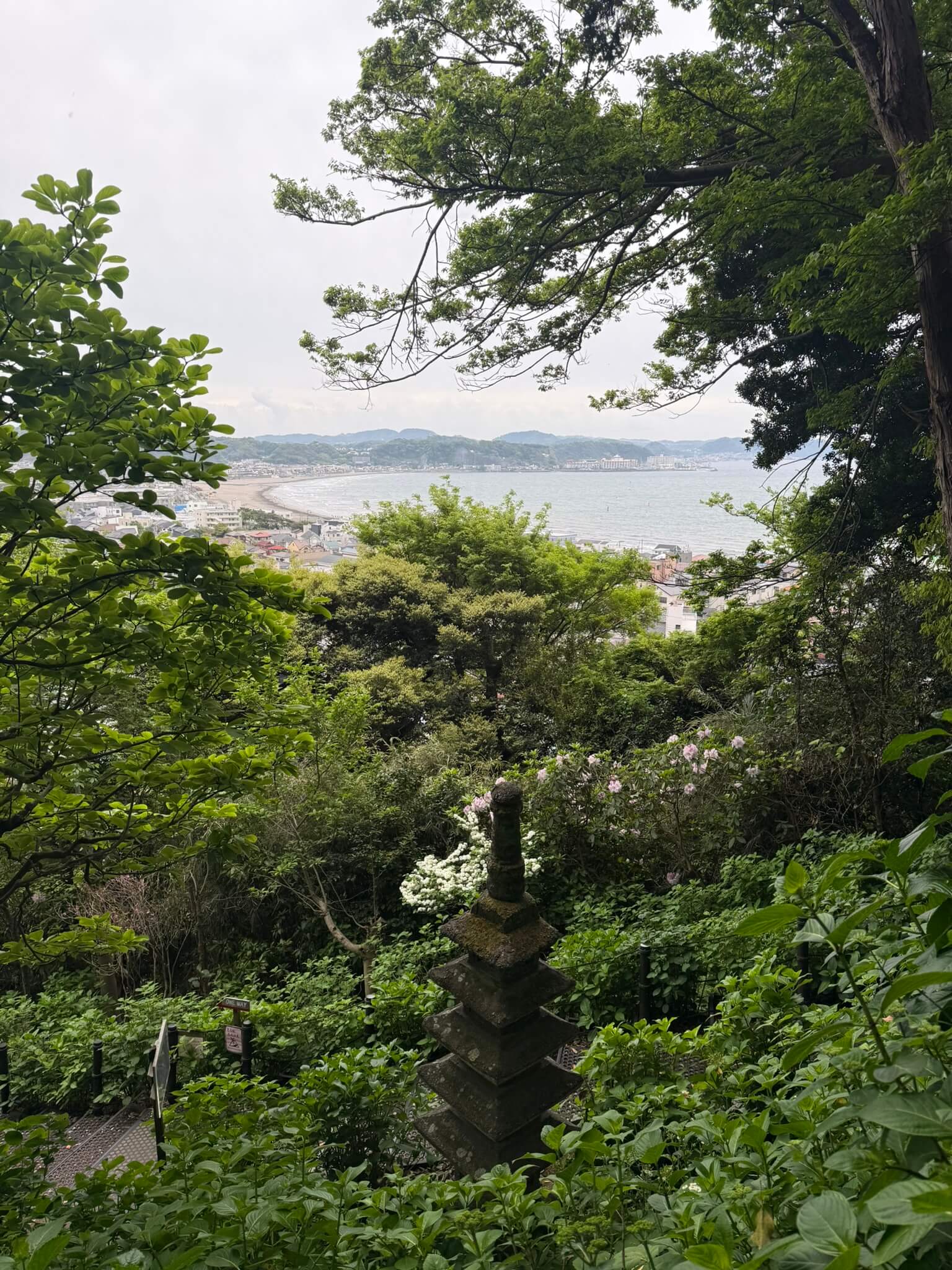 IMG_5162