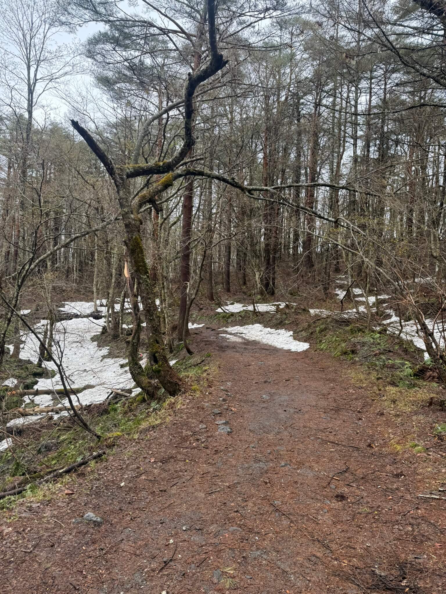Goshikinuma Ponds Urabandai Bussankan Entrance