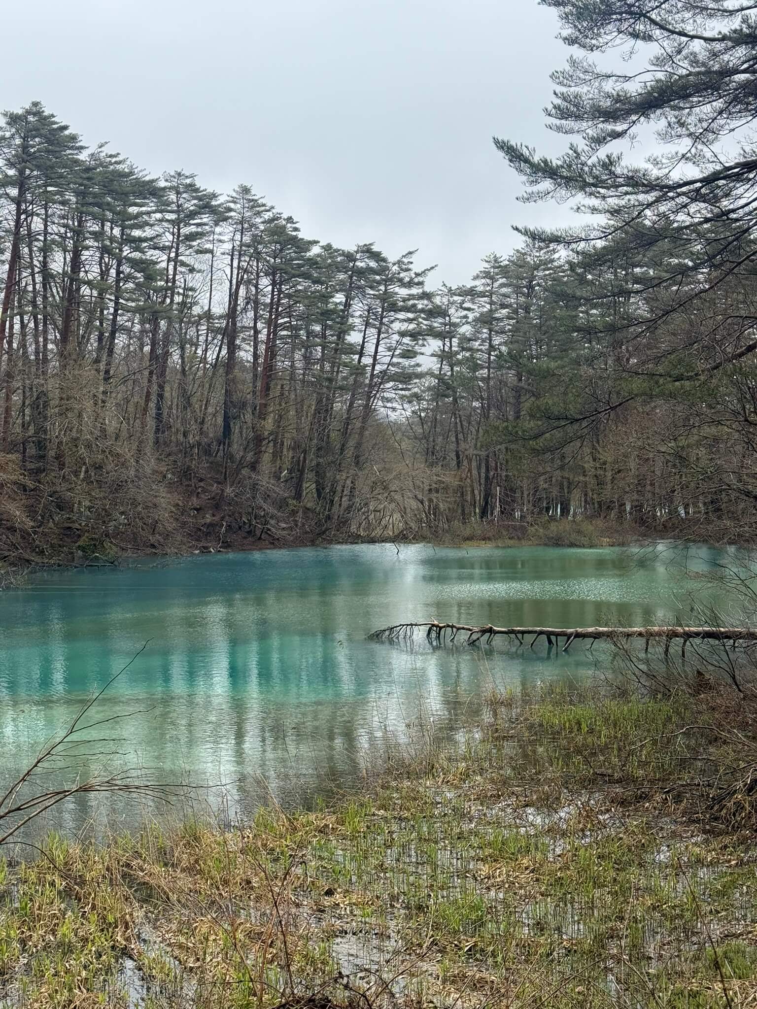 Goshikinuma Ponds Aonuma Pond
