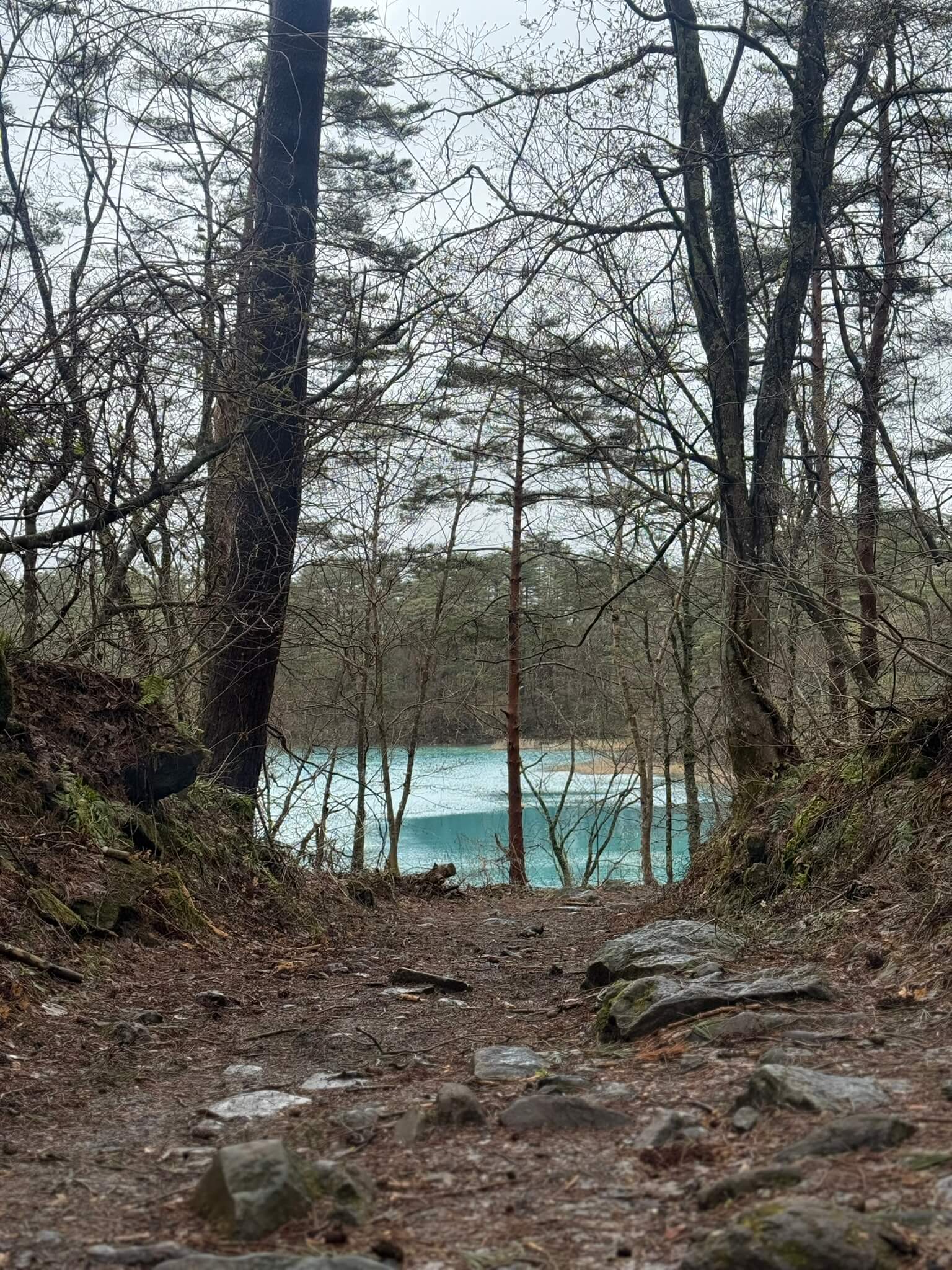 Goshikinuma Ponds Bentennuma