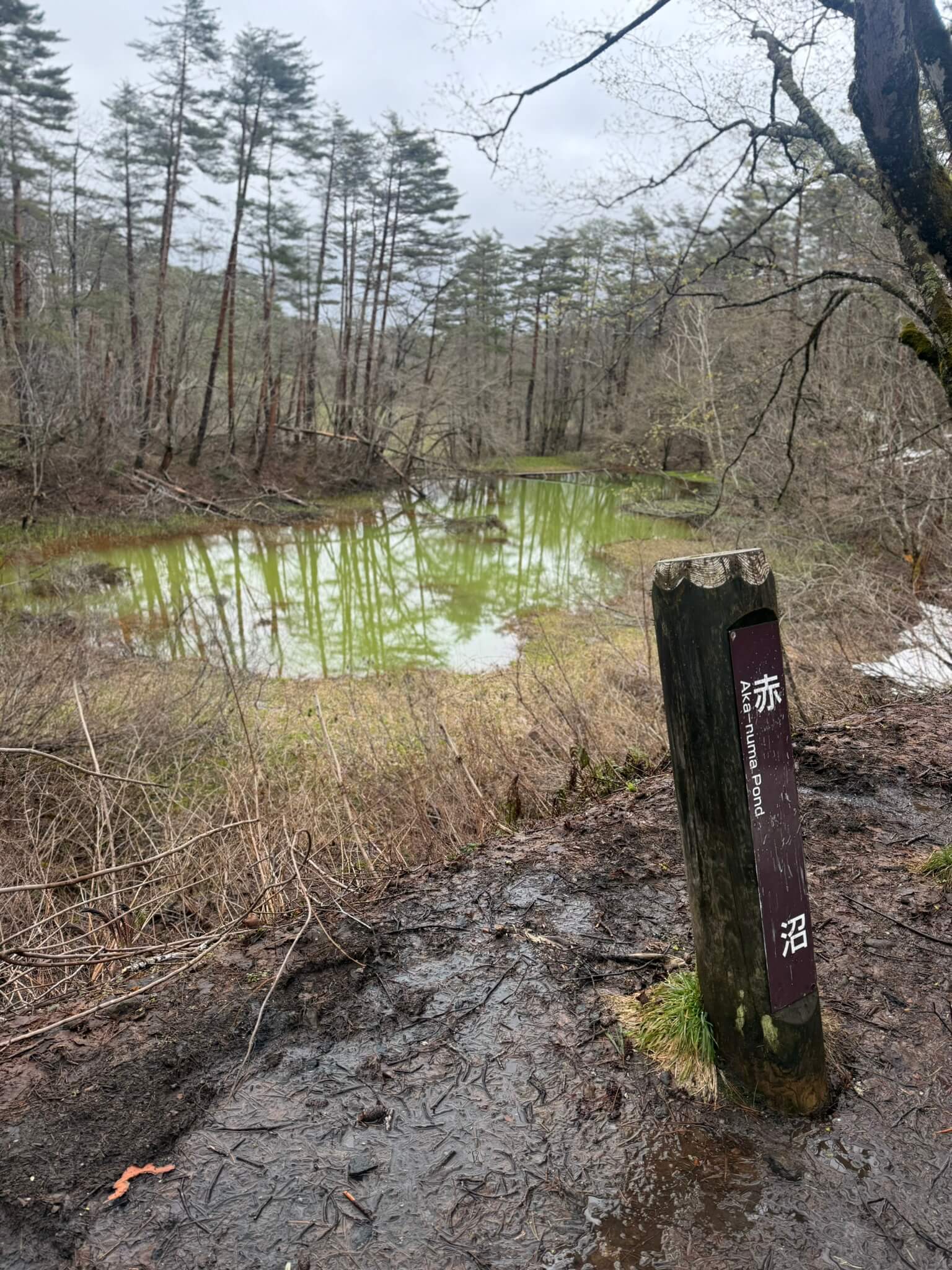 Goshikinuma Pond Akanuma