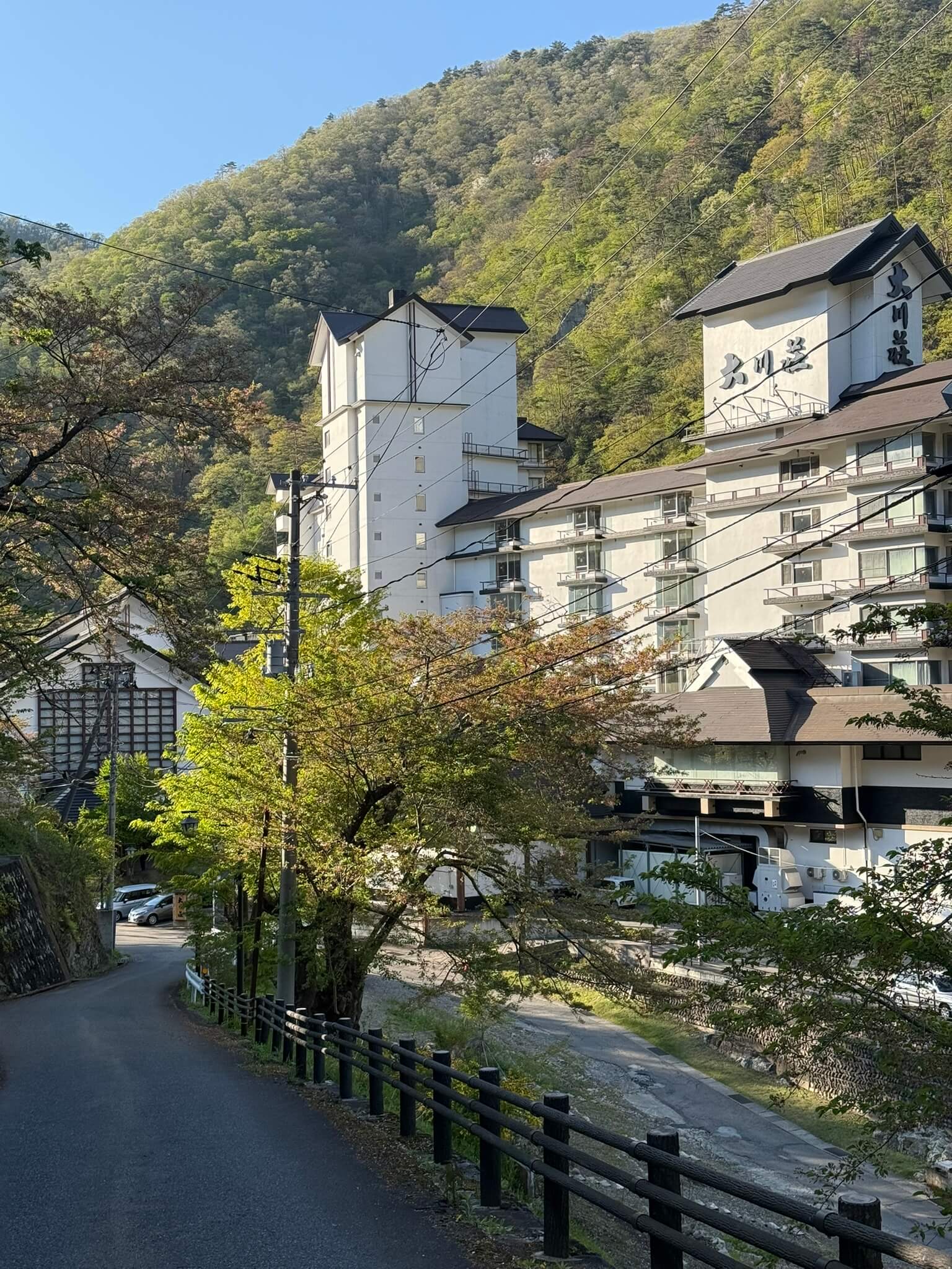 Ashinomaki Onsen Ookawaso
