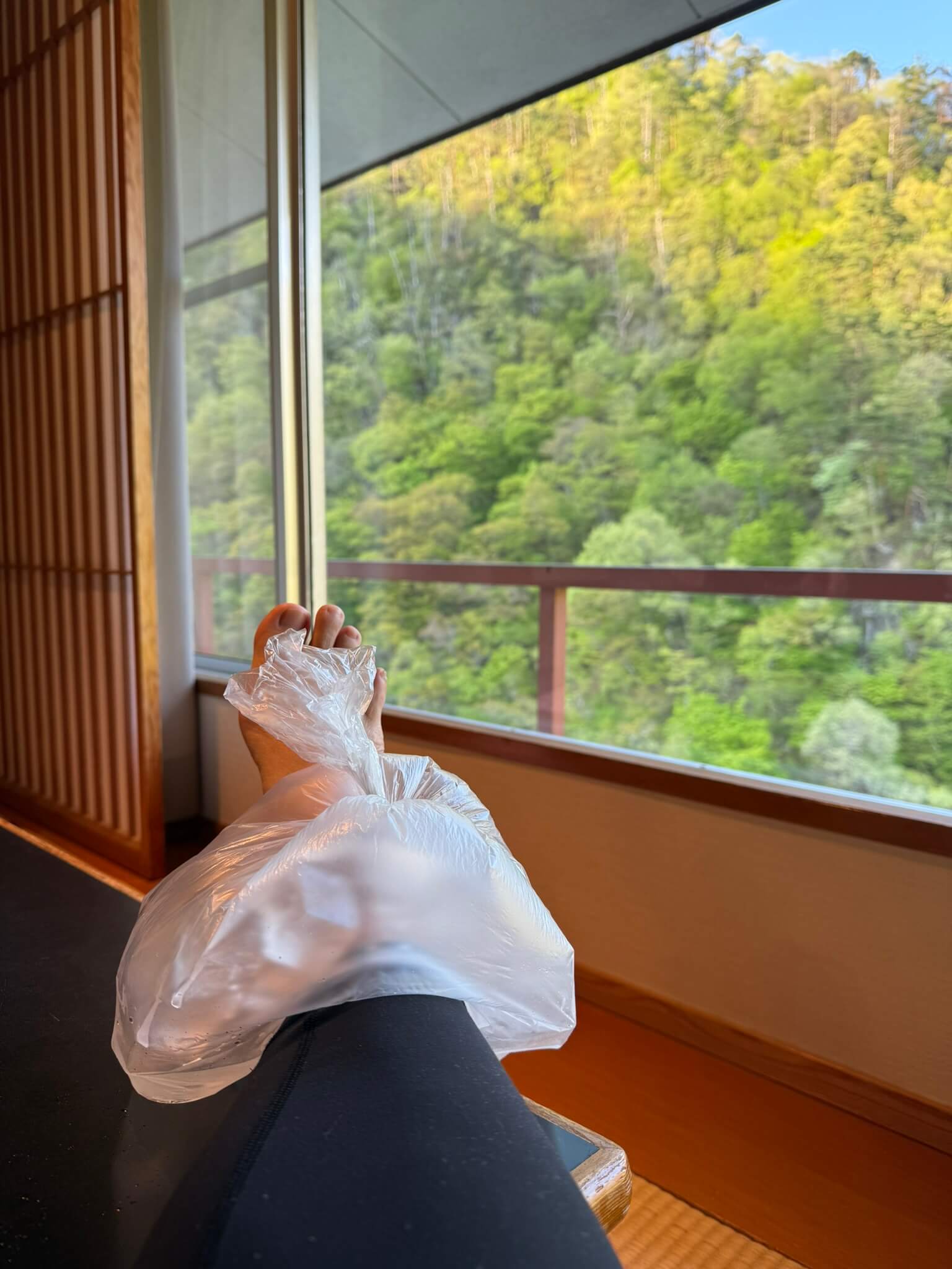 Ookawaso Room View Sprained Ankle