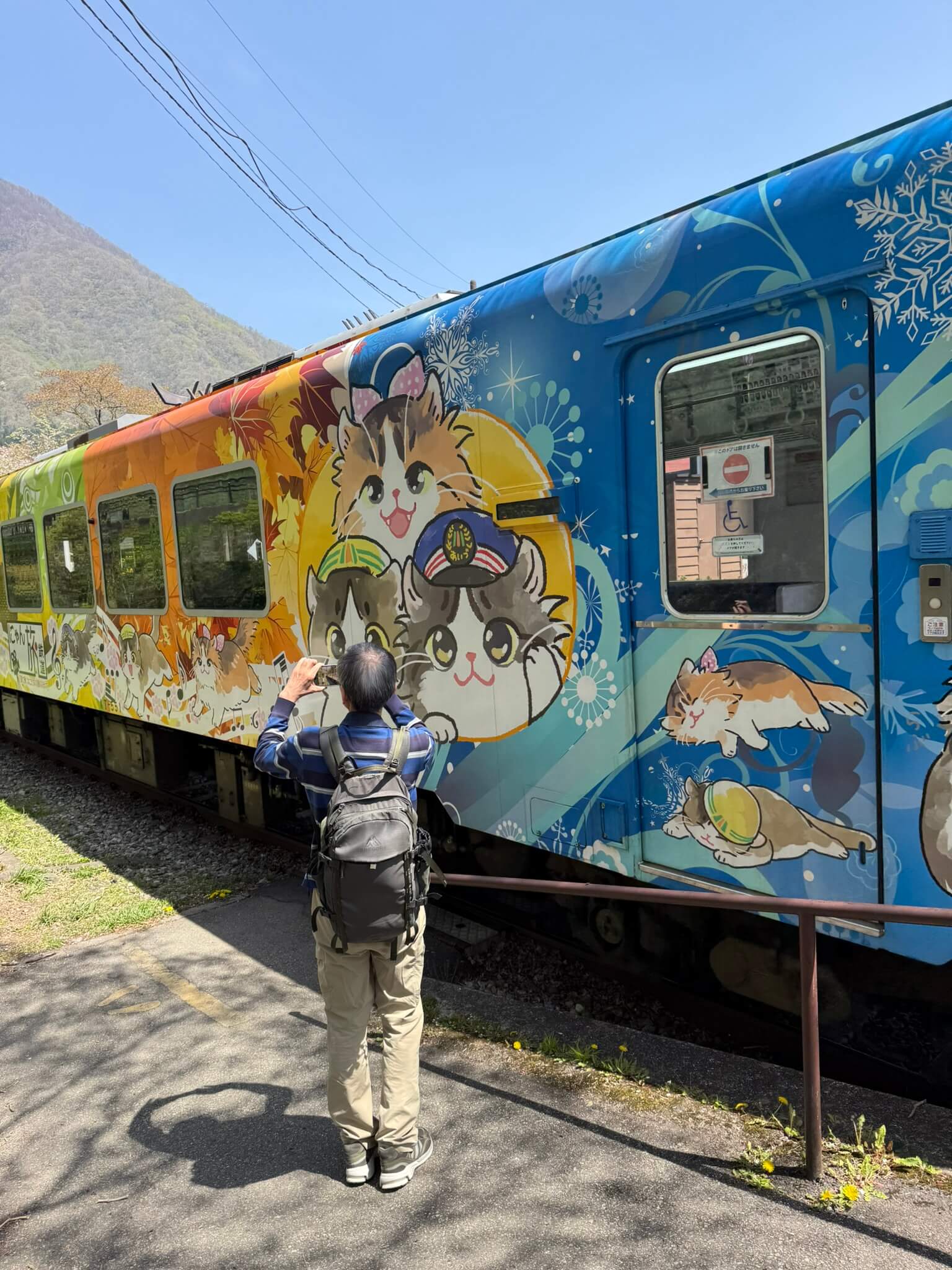 Aizu Line Cat Train