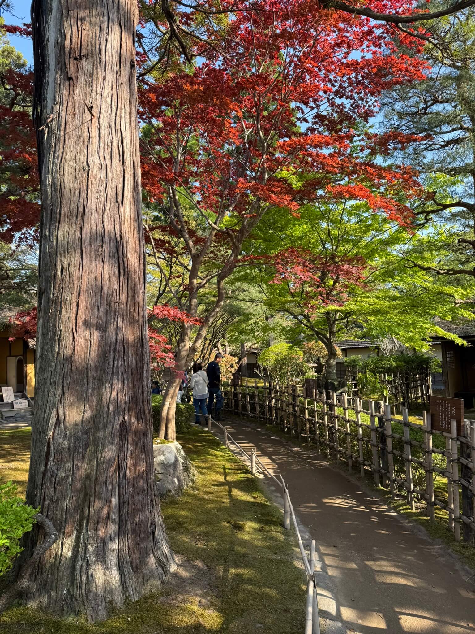 Tsurugajo Rinkaku Teahouse
